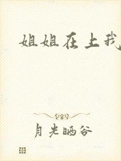 姐姐在上我在下