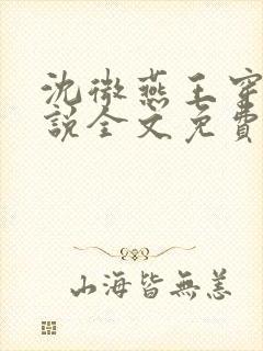 沈微燕王穿越小说全文免费阅读