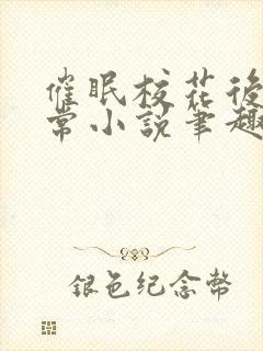 催眠校花后的日常小说笔趣阁