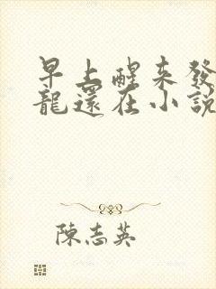 早上醒来发现巨龙还在小说