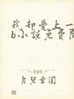 我却爱上一个sb小说免费阅读无弹窗