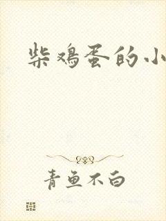 柴鸡蛋的小说