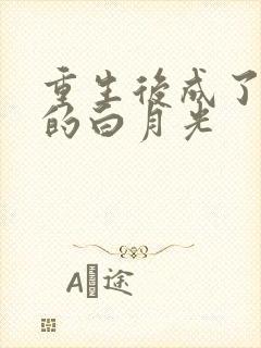 重生后成了皇帝的白月光