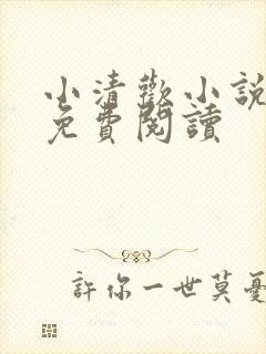 小清欢小说全文免费阅读