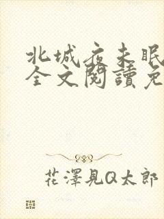北城夜未眠小说全文阅读免费