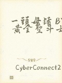 一头母猪 BY 黄金圣斗士