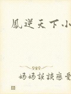 凤逆天下小说