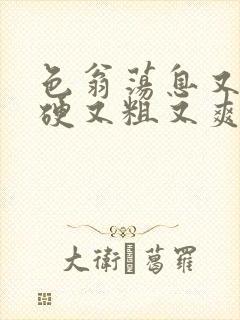 色翁荡息又大又硬又粗又爽