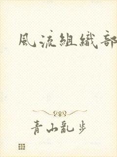 风流组织部长