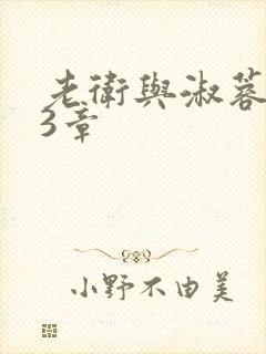 老卫与淑蓉第13章