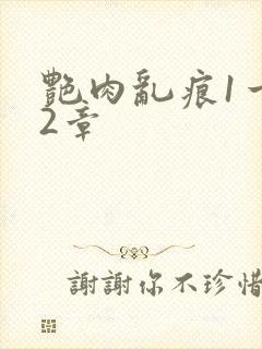 艳肉乱痕1一12章