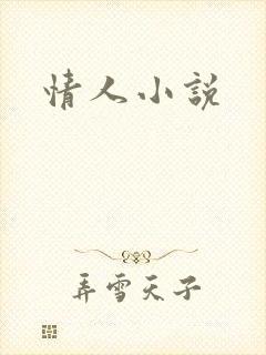 情人小说