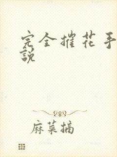 完全摧花手册小说
