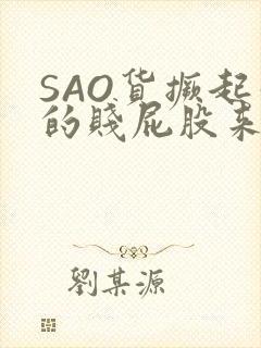 SAO货撅起你的贱屁股来