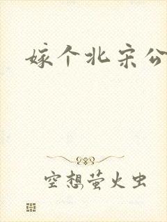 嫁个北宋公务员