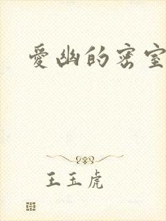 爱幽的密室小说