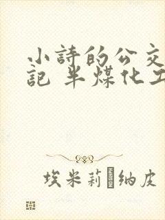 小诗的公交车日记 半煤化工