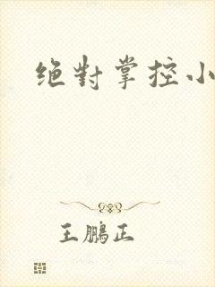 绝对掌控小说