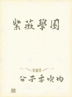 紫薇学园