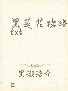 黑莲花攻略手册txt