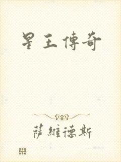 星王传奇