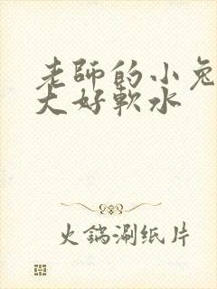 老师的小兔子好大好软水