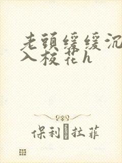 老头缓缓沉腰进入校花h