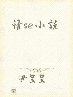 情se小说