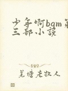 少年啊bgm第三部小说