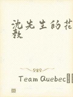 沈先生的花式管教