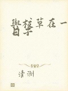 与校草在一起的日子