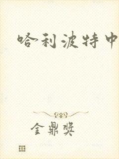 哈利波特中文版