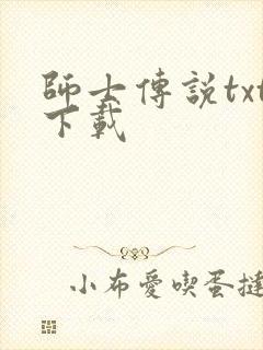 师士传说txt下载