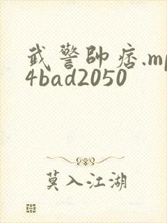 武警帅痞.mp4bad2050