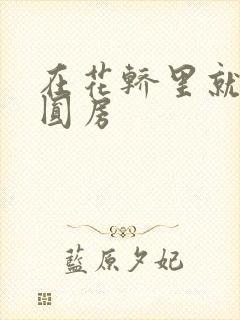 在花轿里就开始圆房