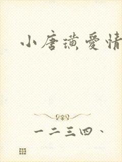 小唐璜爱情历史