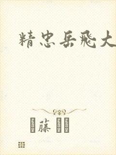 精忠岳飞大结局