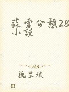 苏雪公憩28篇小说