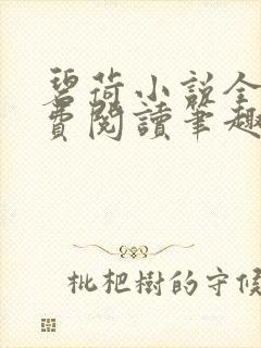 碧荷小说全文免费阅读笔趣阁