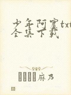 少年阿宾txt全集下载