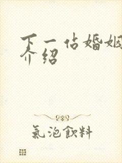 下一站婚姻剧情介绍