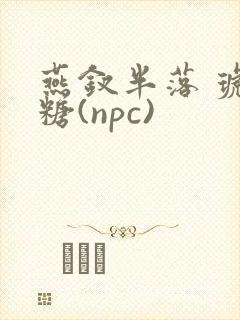 燕钗半落 琥珀糖(npc)