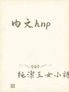 肉文hnp