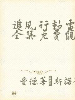 追风行动电视剧全集免费观看