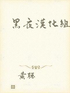 黑夜汉化组