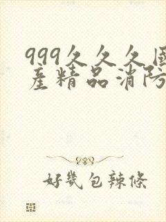 999久久久国产精品消防器材