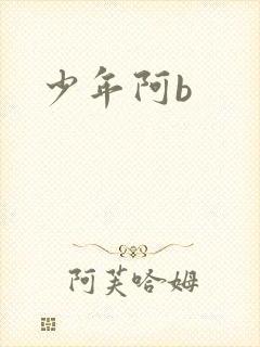 少年阿b