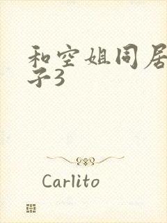 和空姐同居的日子3