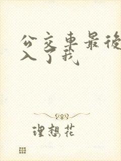 公交车最后一排入了我