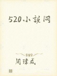 520小说网